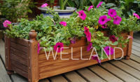 planter boxes